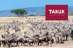 Ostafrika auf TARUK-Art – in Kleinstgruppen mit maximal sieben Gästen